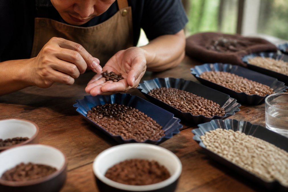 How to Identify High Quality Coffee Beans